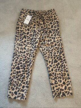 Zara Drawstring ankle length pants